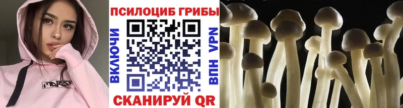 Галлюциногенные грибы мухоморы  это телеграм  Тимашёвск 