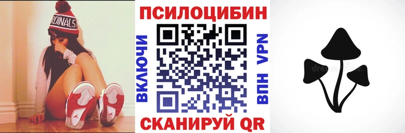 Псилоцибиновые грибы Psilocybe Тимашёвск